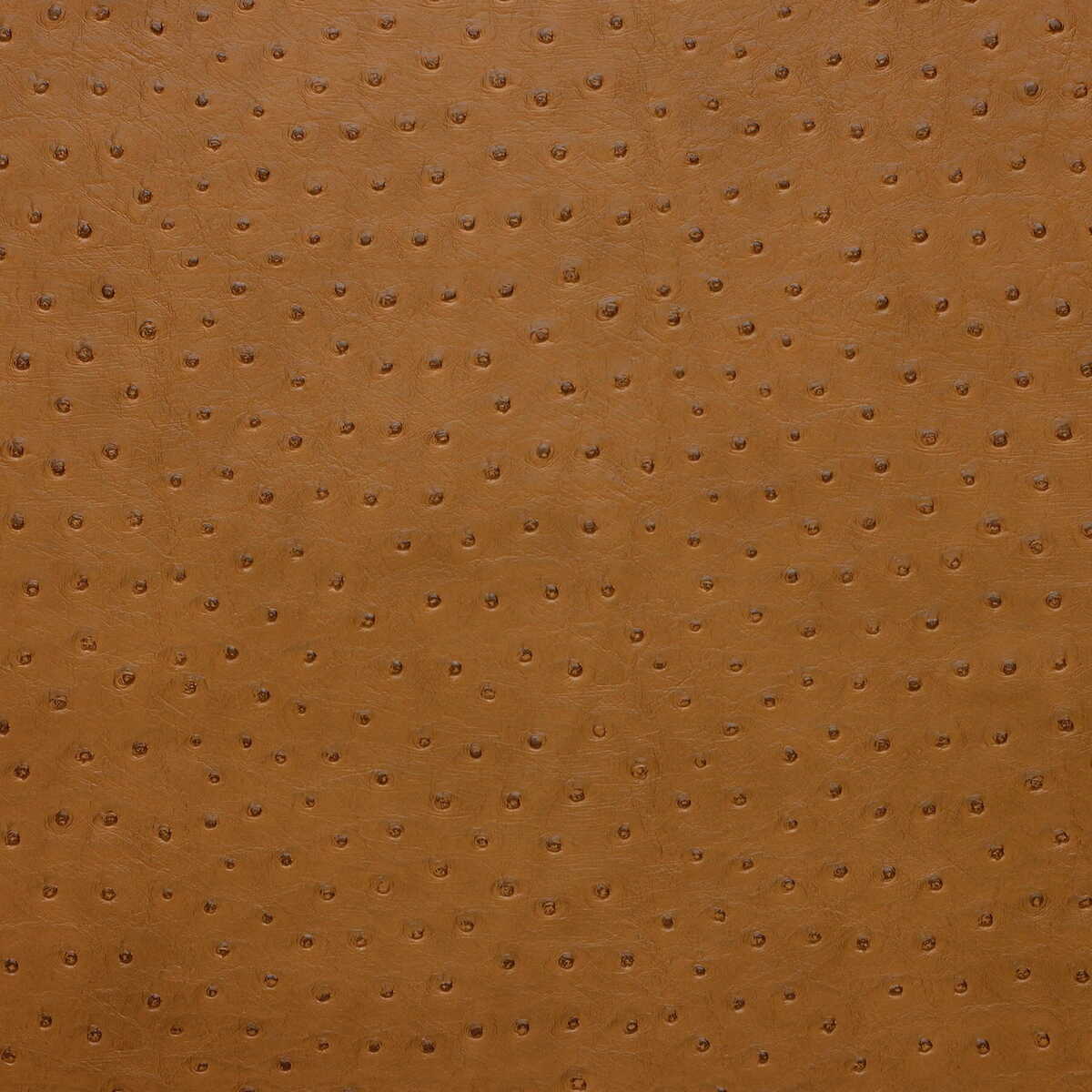 Kravet Design - Senna-616