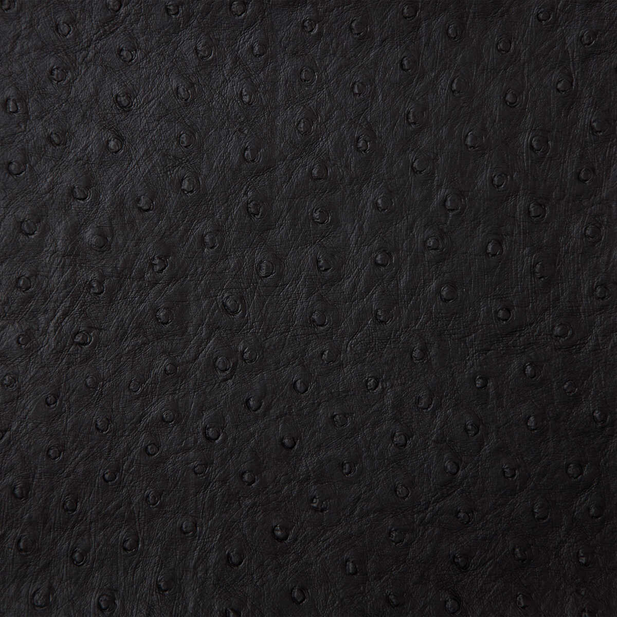 Kravet Design - Senna-8