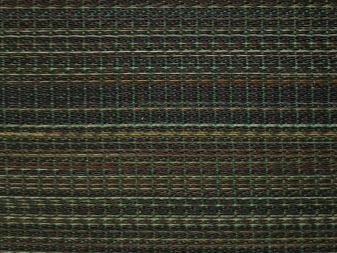 Rottaler Horsehair - Green / Grey - Scalamandre Fabric