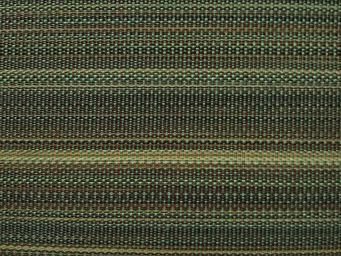 Paso Horsehair - Green / Grey - Scalamandre Fabric