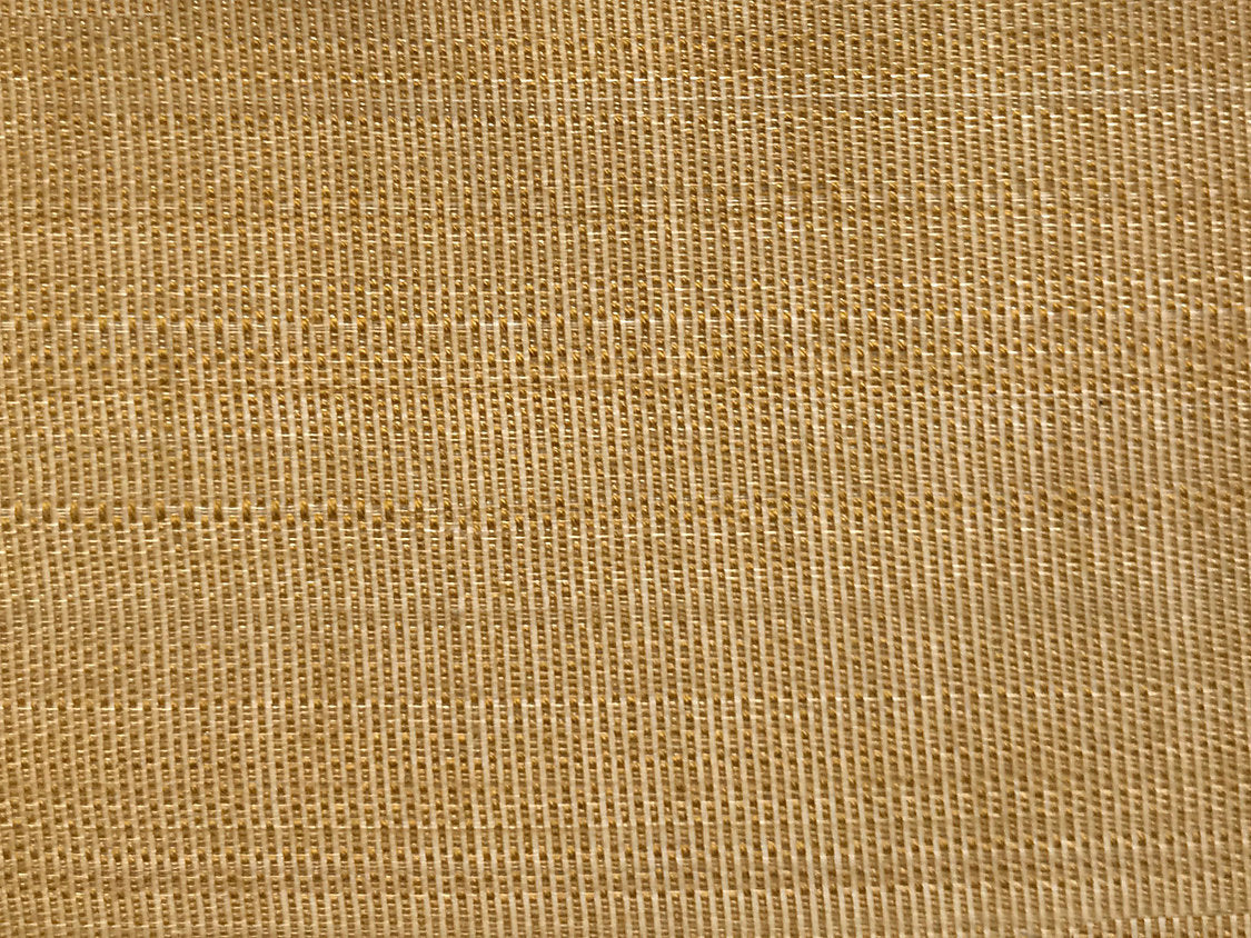 Paso Horsehair - Pale Brass - Scalamandre Fabric