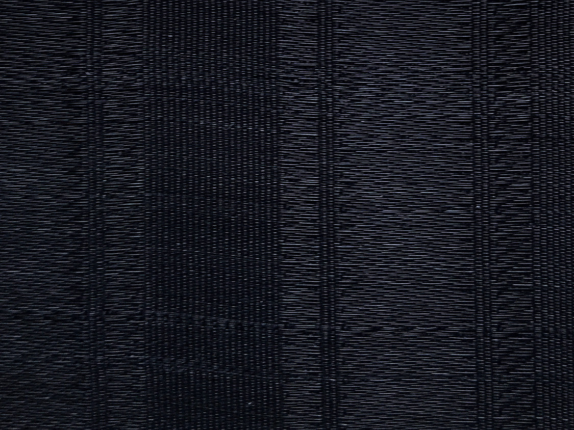 Ricana Horsehair - Black - Scalamandre Fabric