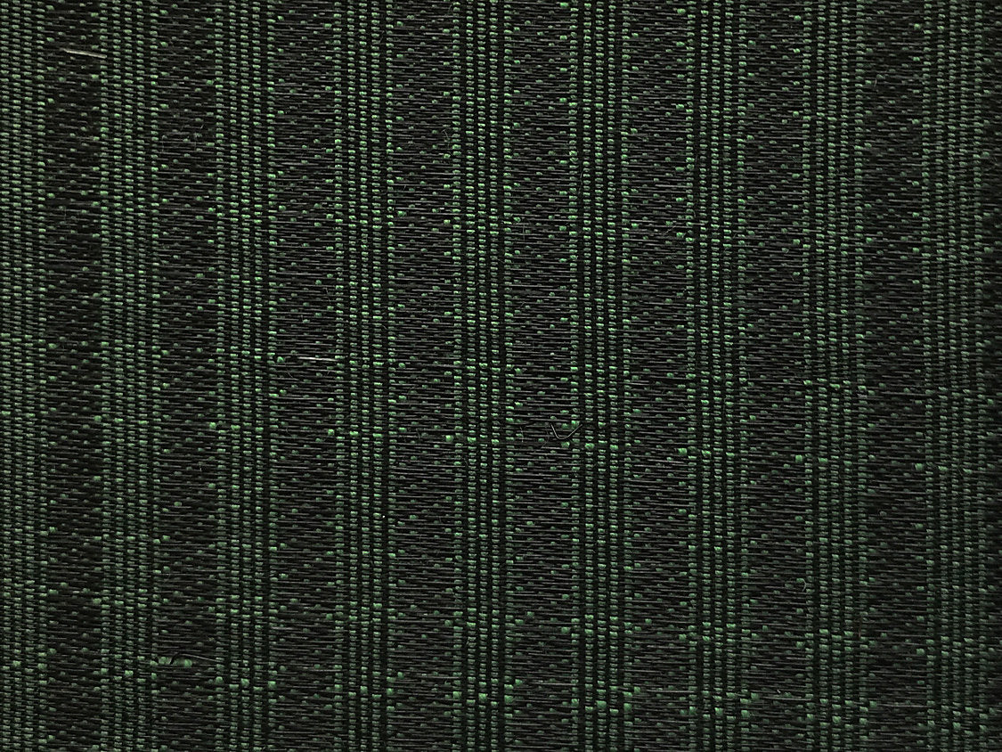 Oldenburg Horsehair - Green / Black - Scalamandre Fabric