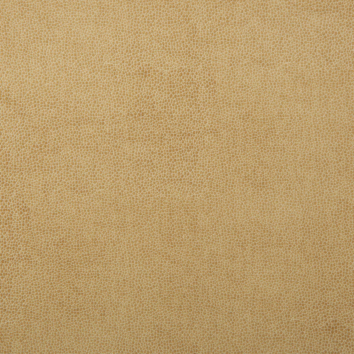 Kravet Design - Sparta-1