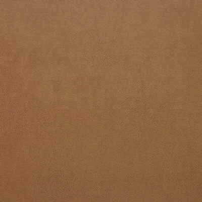 Kravet Design - Sparta-12