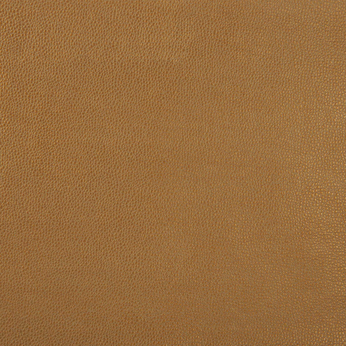 Kravet Design - Sparta-4