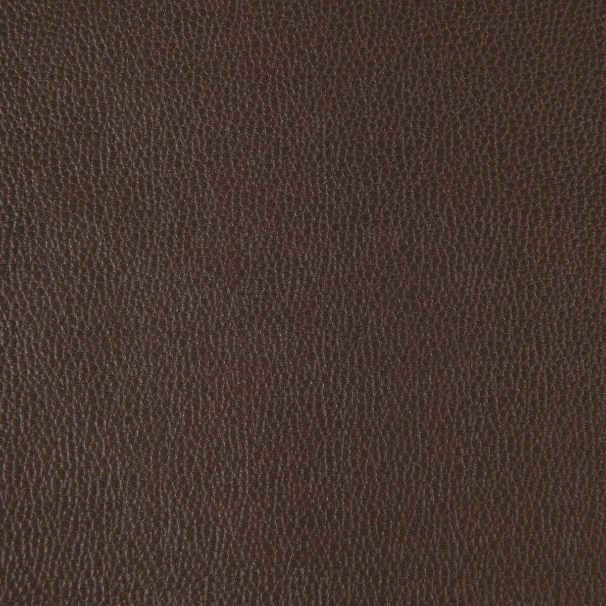 Kravet Design - Sparta-6666 - KRAVET DESIGN Tela