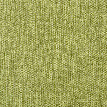 Spree - Cactus