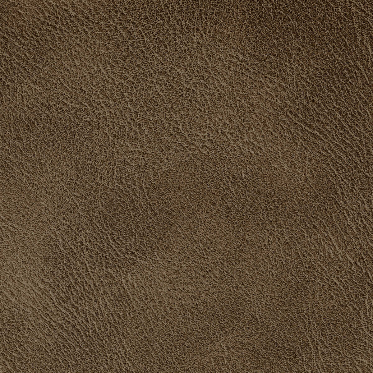 Spur - Pecan - KRAVET CONTRACT Fabric