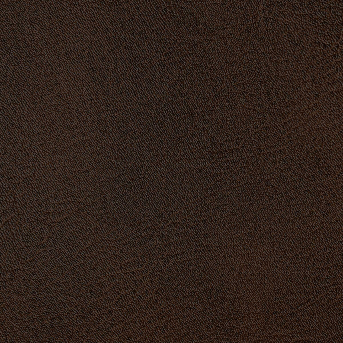 Spur - Java - KRAVET CONTRACT Fabric