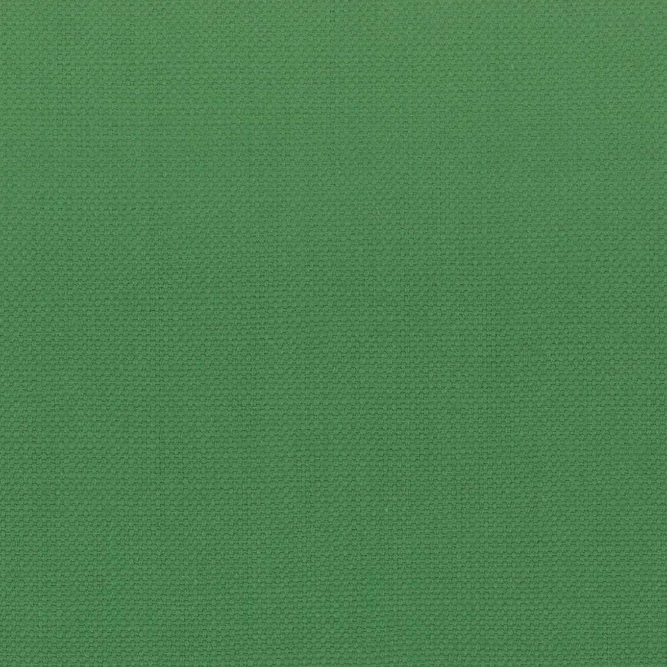 STANFORD-19-SPRING-STOUT-TEXTILES