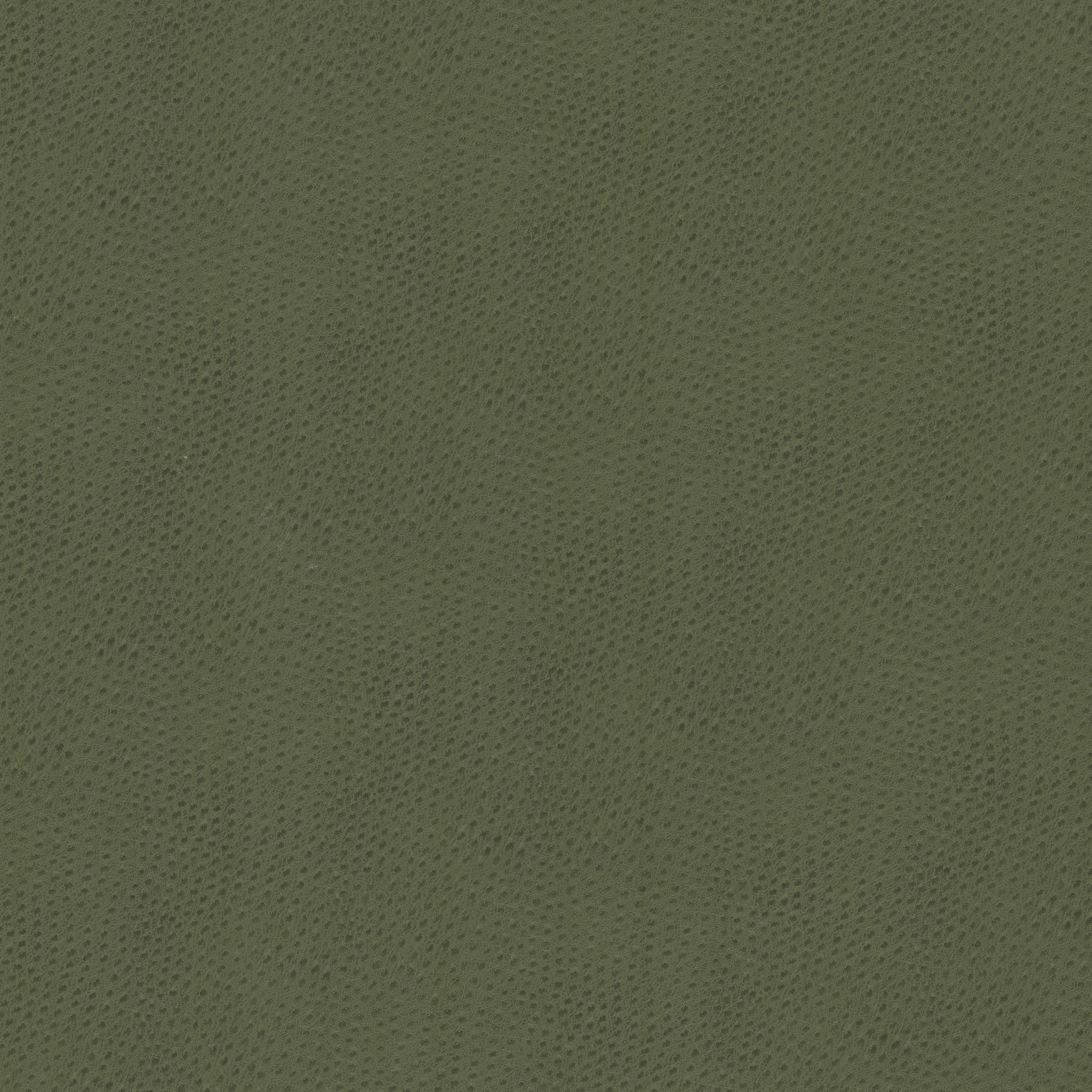 Steeplechase 2 Dill by Stout Fabric