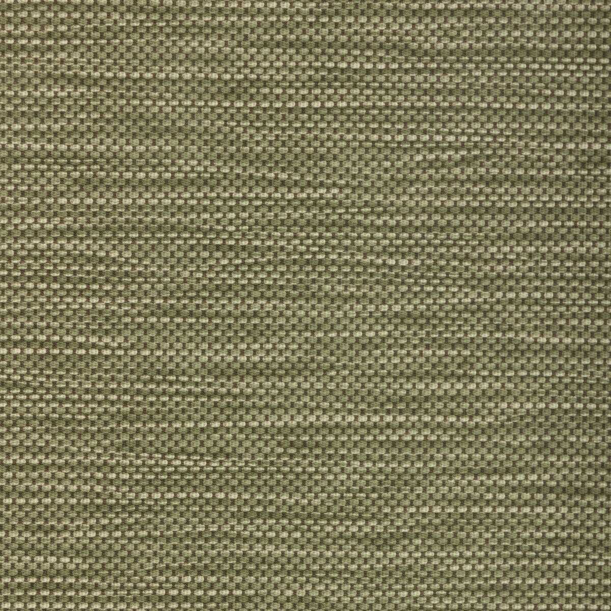 Stitch - Cactus - KRAVET CONTRACT Tela
