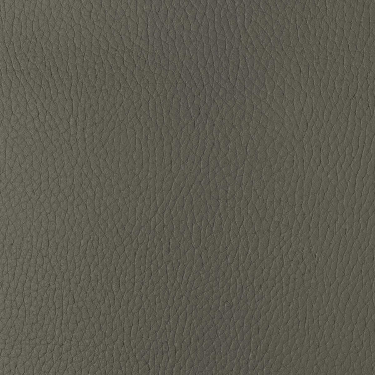 Kravet Design - Sugarmaple-11 - KRAVET DESIGN Fabric