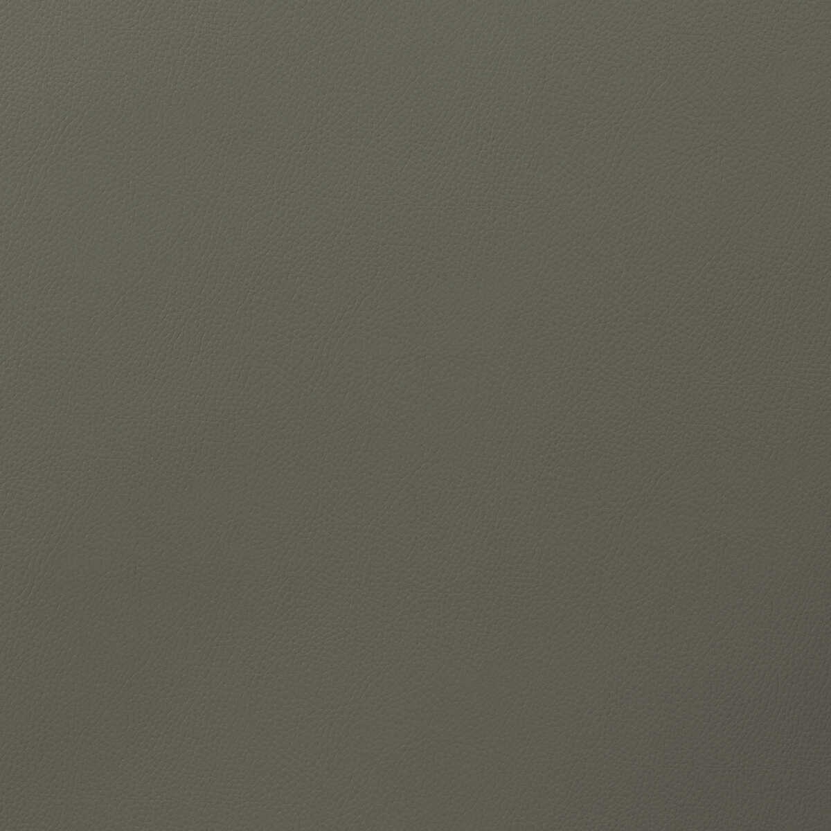 Kravet Design - Sugarmaple-11 - KRAVET DESIGN Fabric