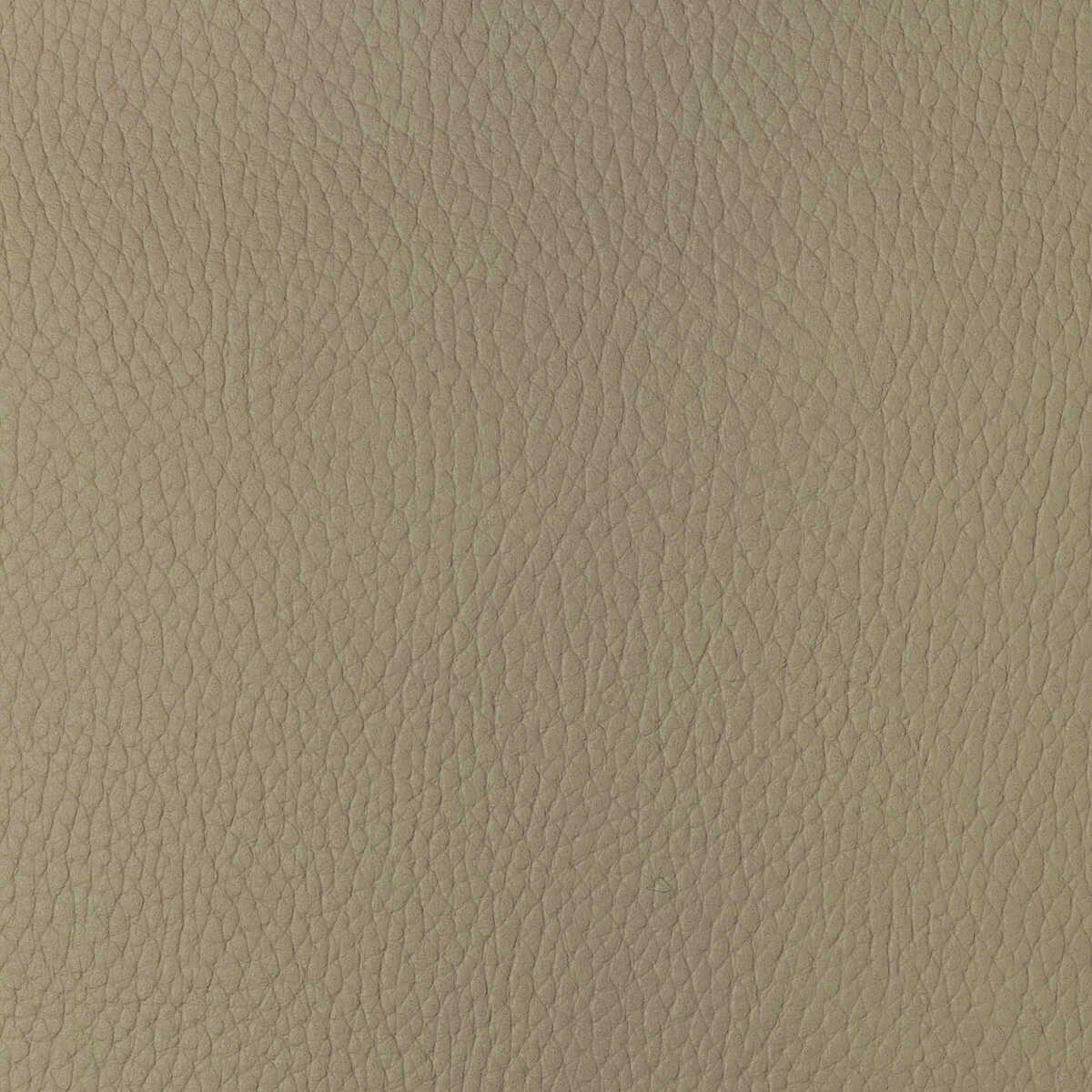 Kravet Design - Sugarmaple-16