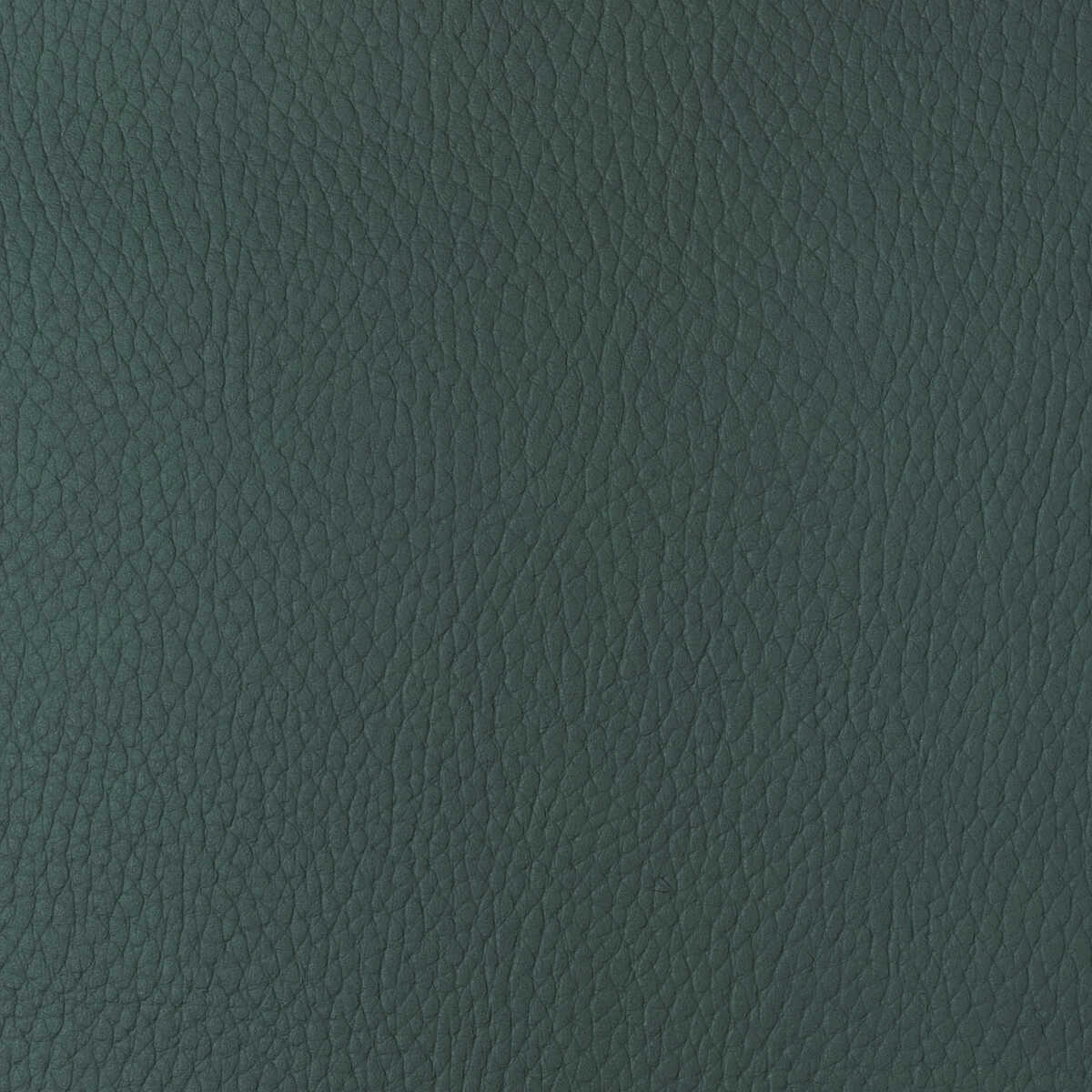 Kravet Design - Sugarmaple-35 - KRAVET DESIGN Tela