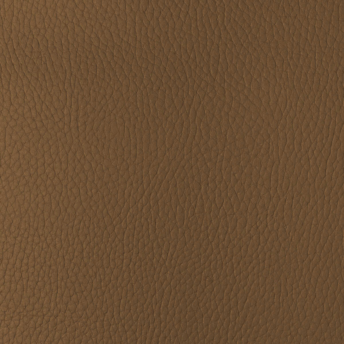 Kravet Design - Sugarmaple-4