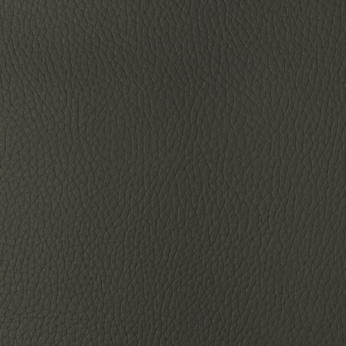 Kravet Design - Sugarmaple-6