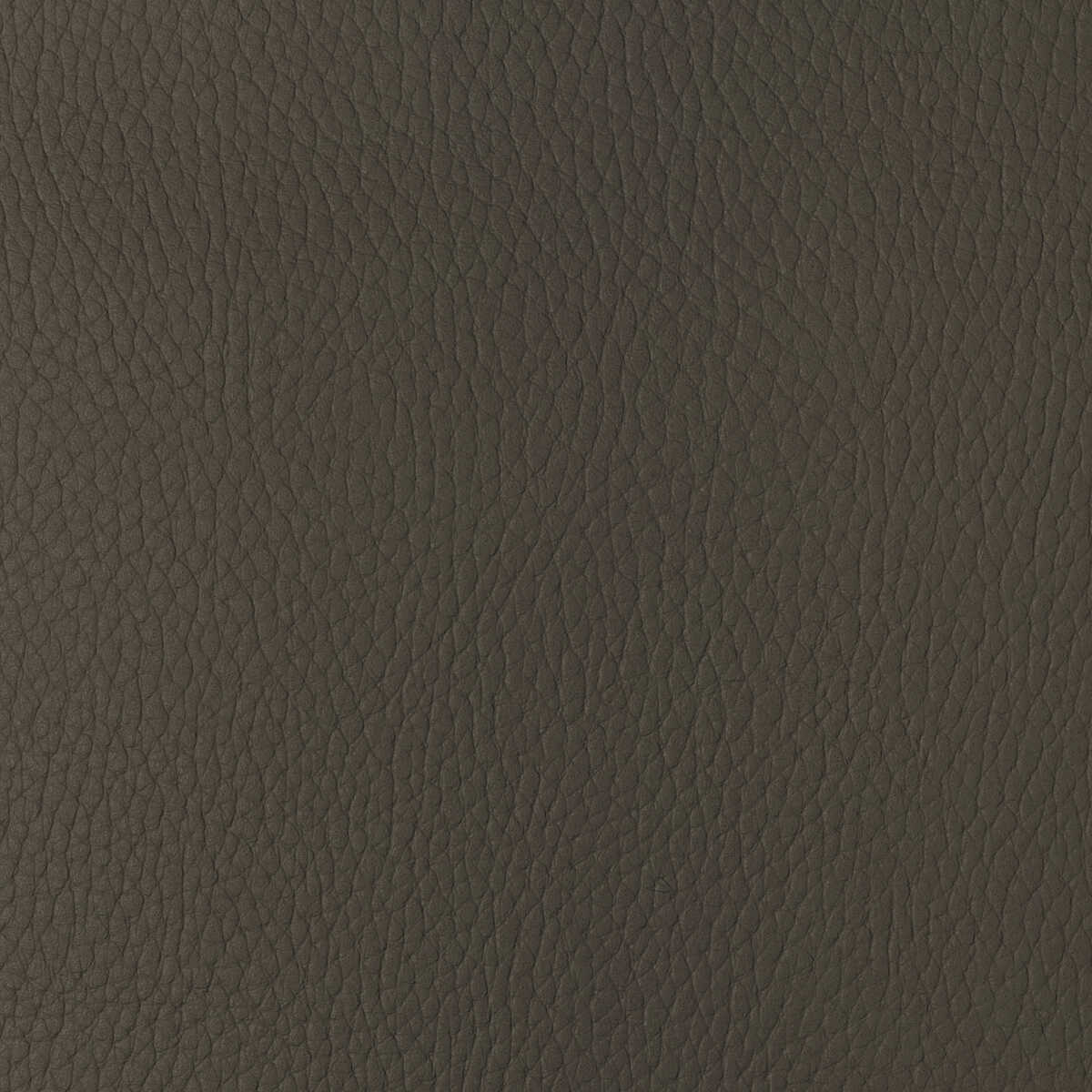Kravet Design - Sugarmaple-616 - KRAVET DESIGN Tela