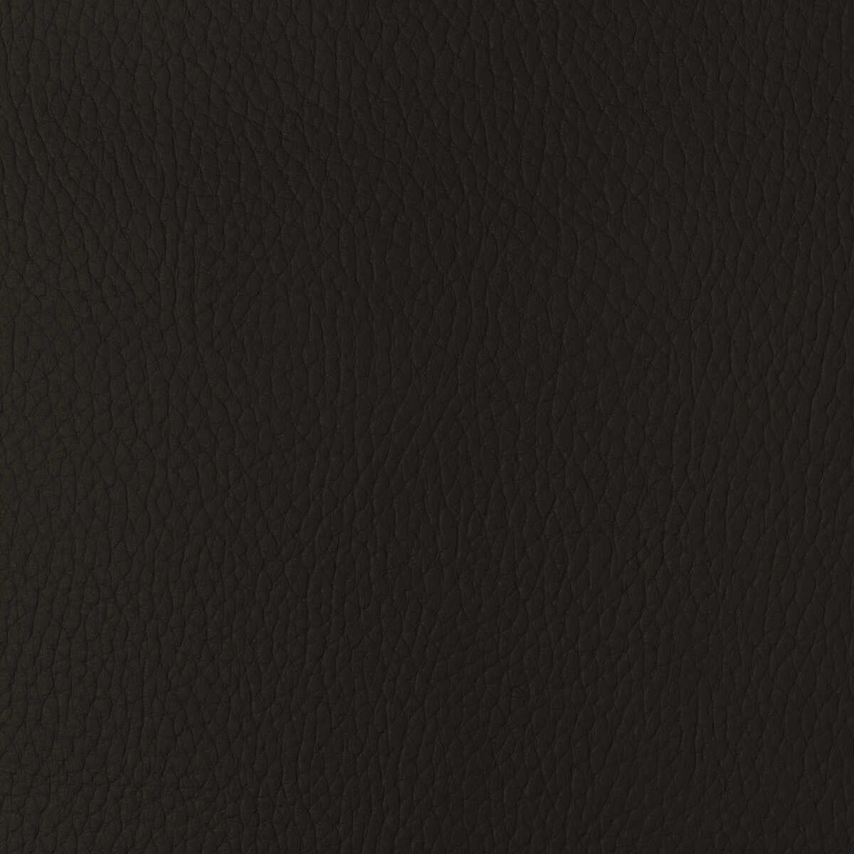 Kravet Design - Sugarmaple-66 - KRAVET DESIGN Fabric