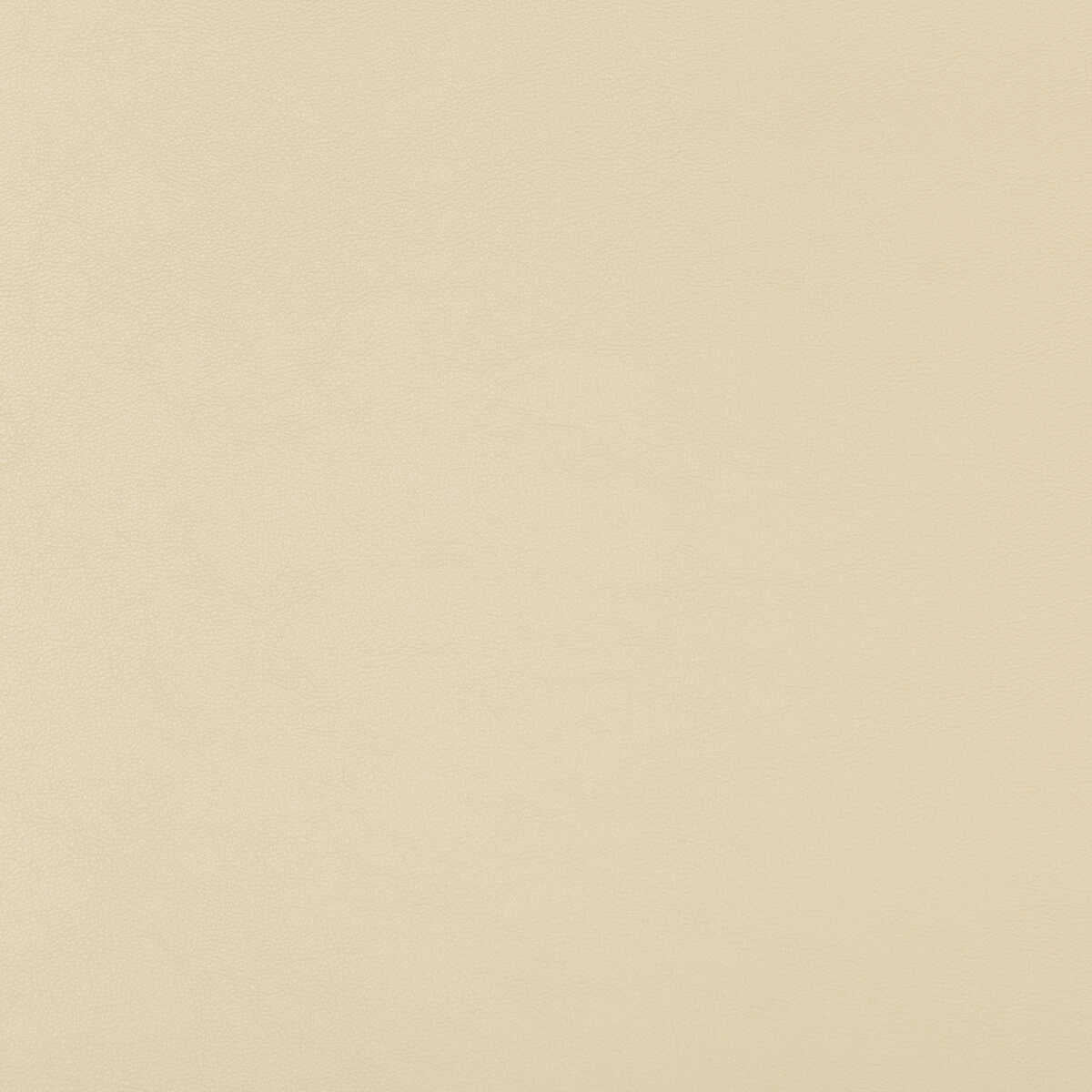 Kravet Design - Swaps-116 - KRAVET DESIGN Tela