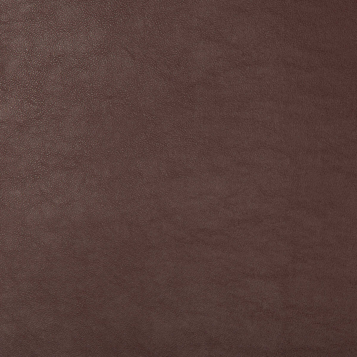 Kravet Design - Swaps-9