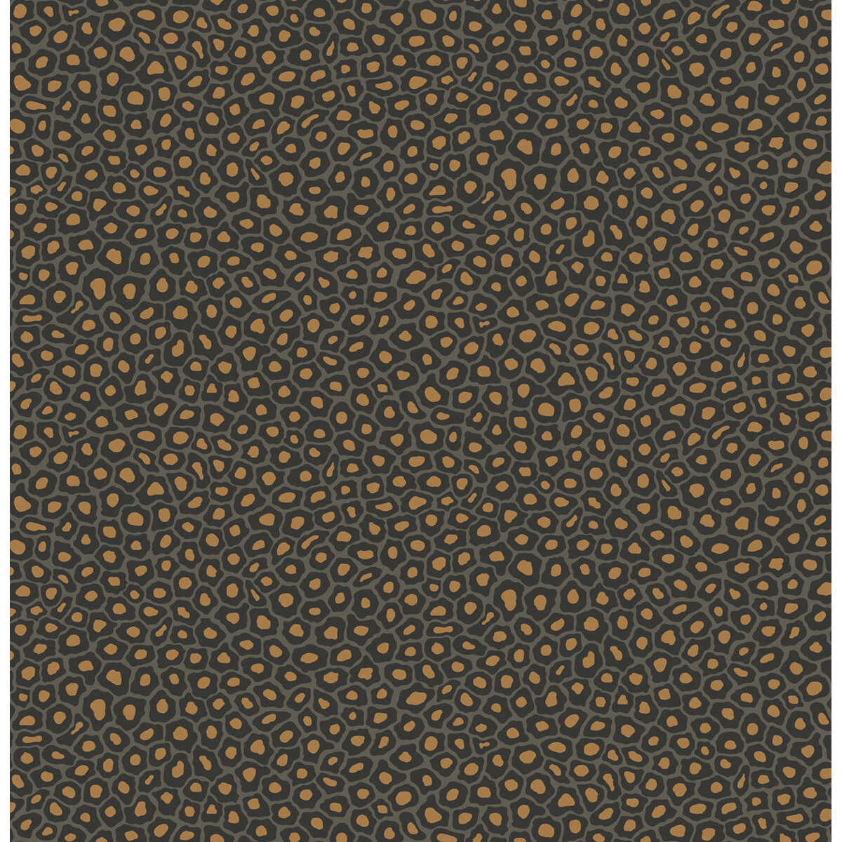 Senzo Spot - Charcoal - COLE & SON Wallpaper