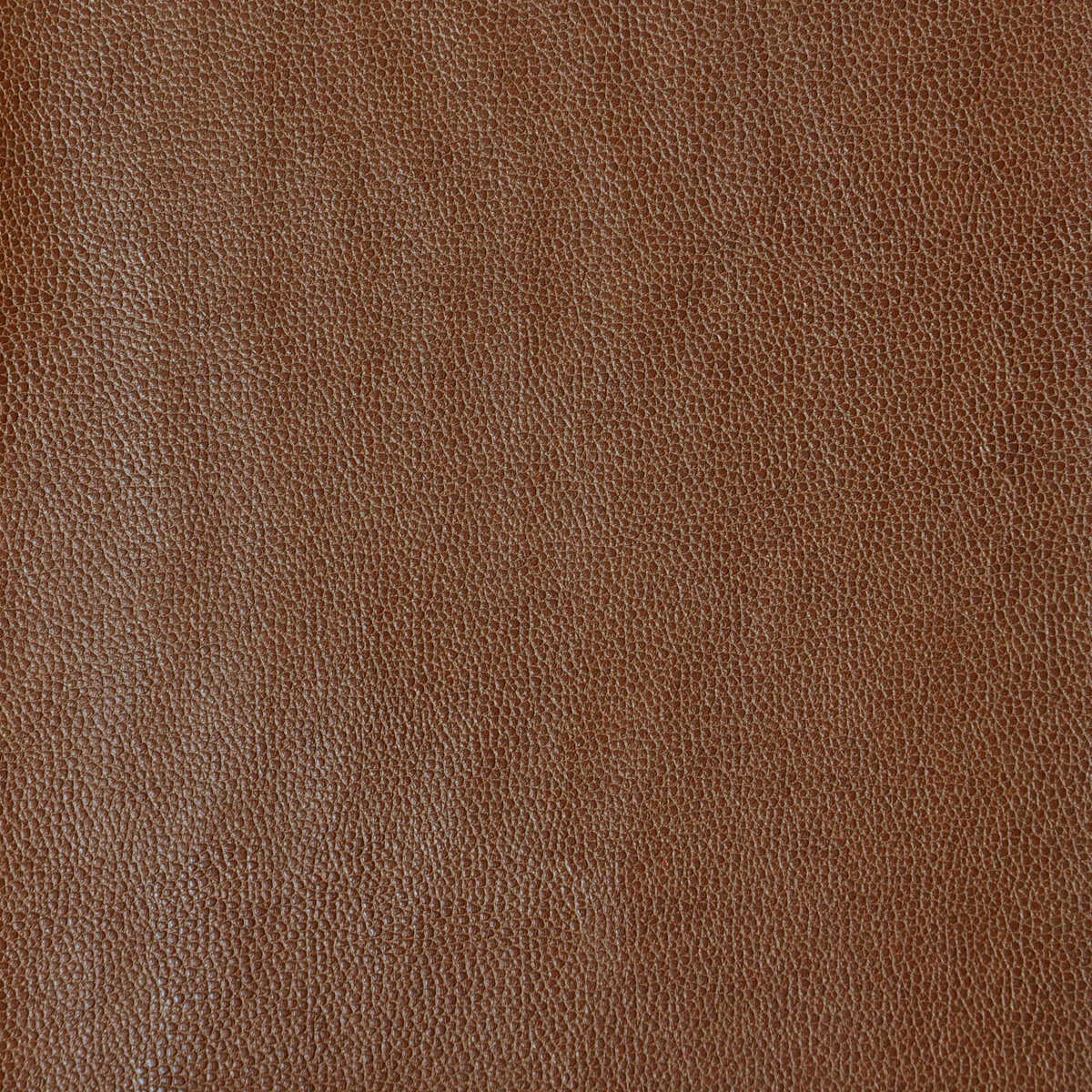 Kravet Design - Sparta-616