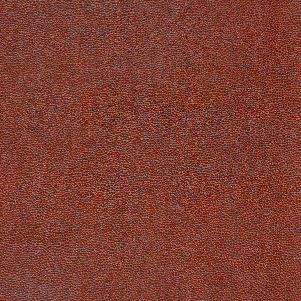 Kravet Design - Sparta-624