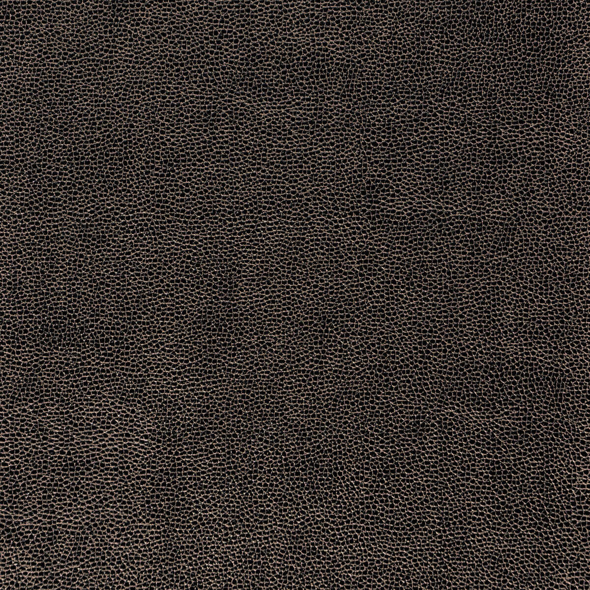Kravet Design - Sparta-811