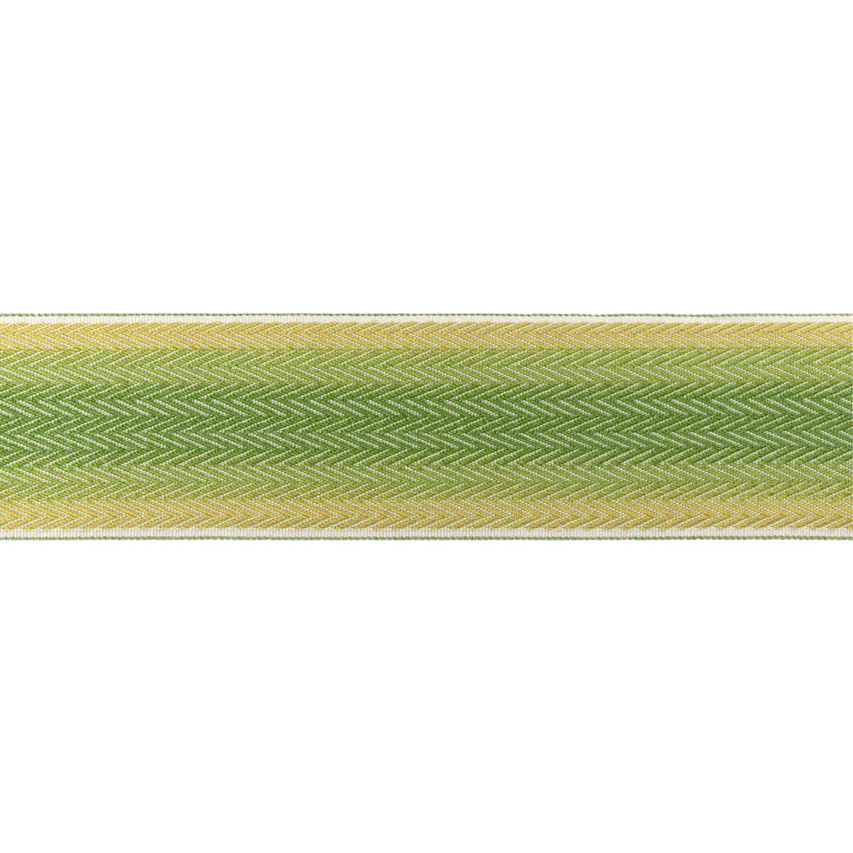 Barfleur Tape - Leaf - BRUNSCHWIG & FILS Trim