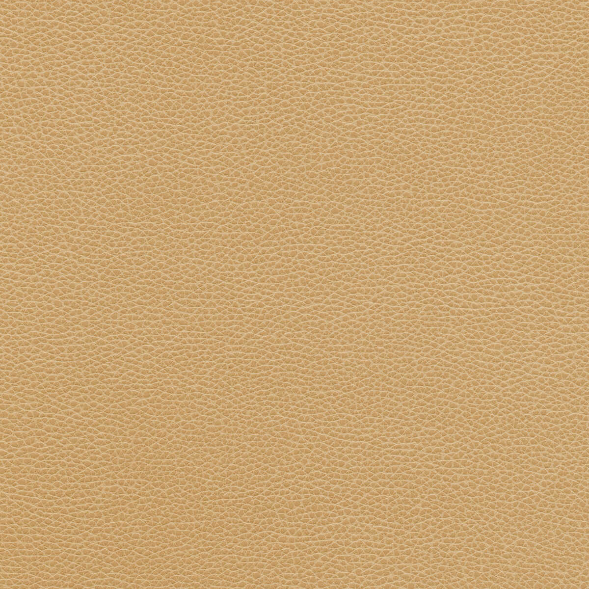 Kravet Design - Tannin-16 - KRAVET DESIGN Tela
