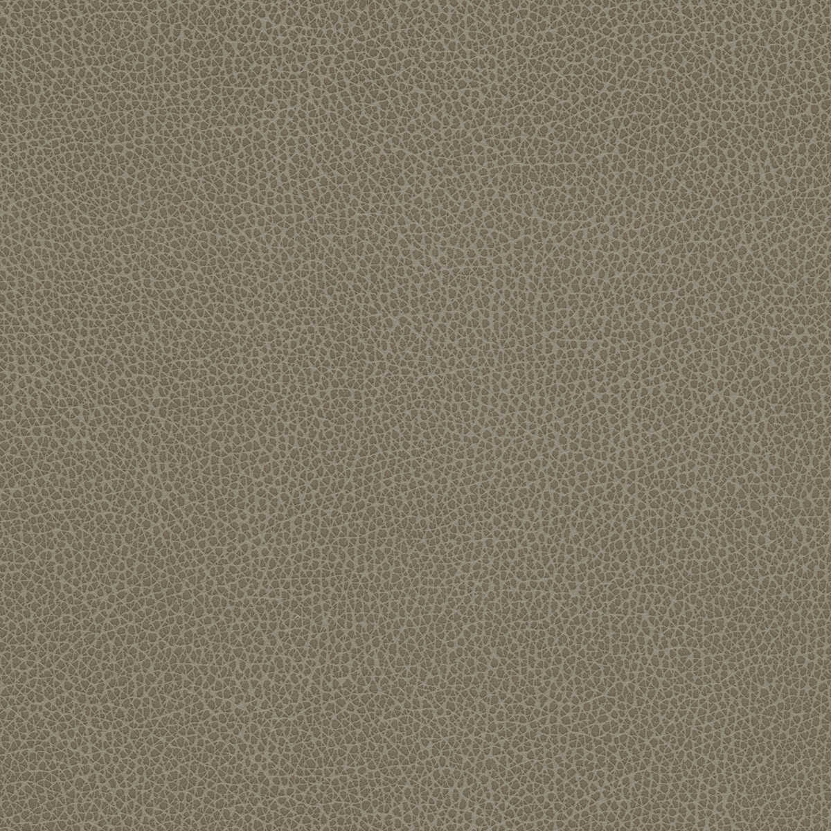 Kravet Design - Tannin-21 - KRAVET DESIGN Tela