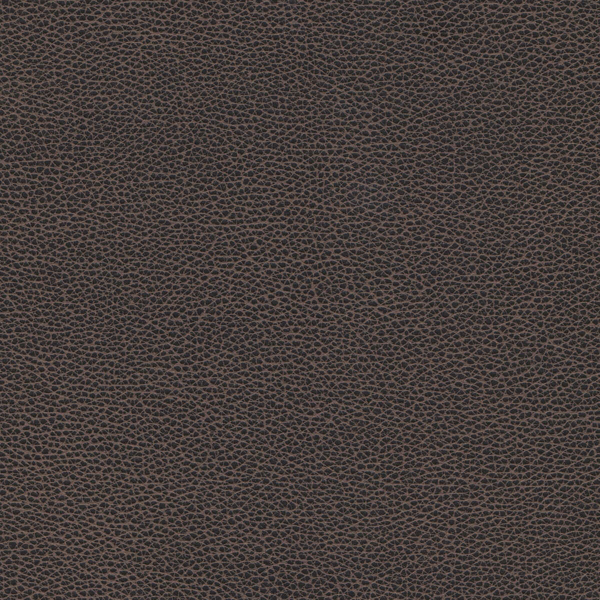 Kravet Design - Tannin-8 - KRAVET DESIGN Tela