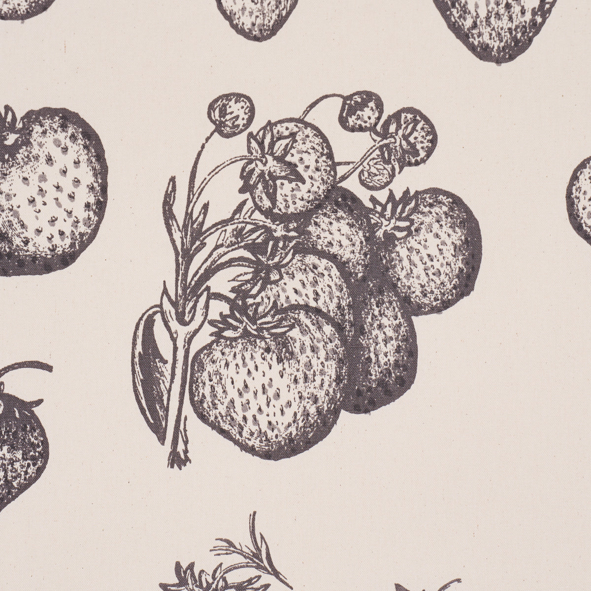 STRAWBERRY-FIELDS-GRAPHITE-SCHUMACHER-TL400080 - Schumacher Fabric