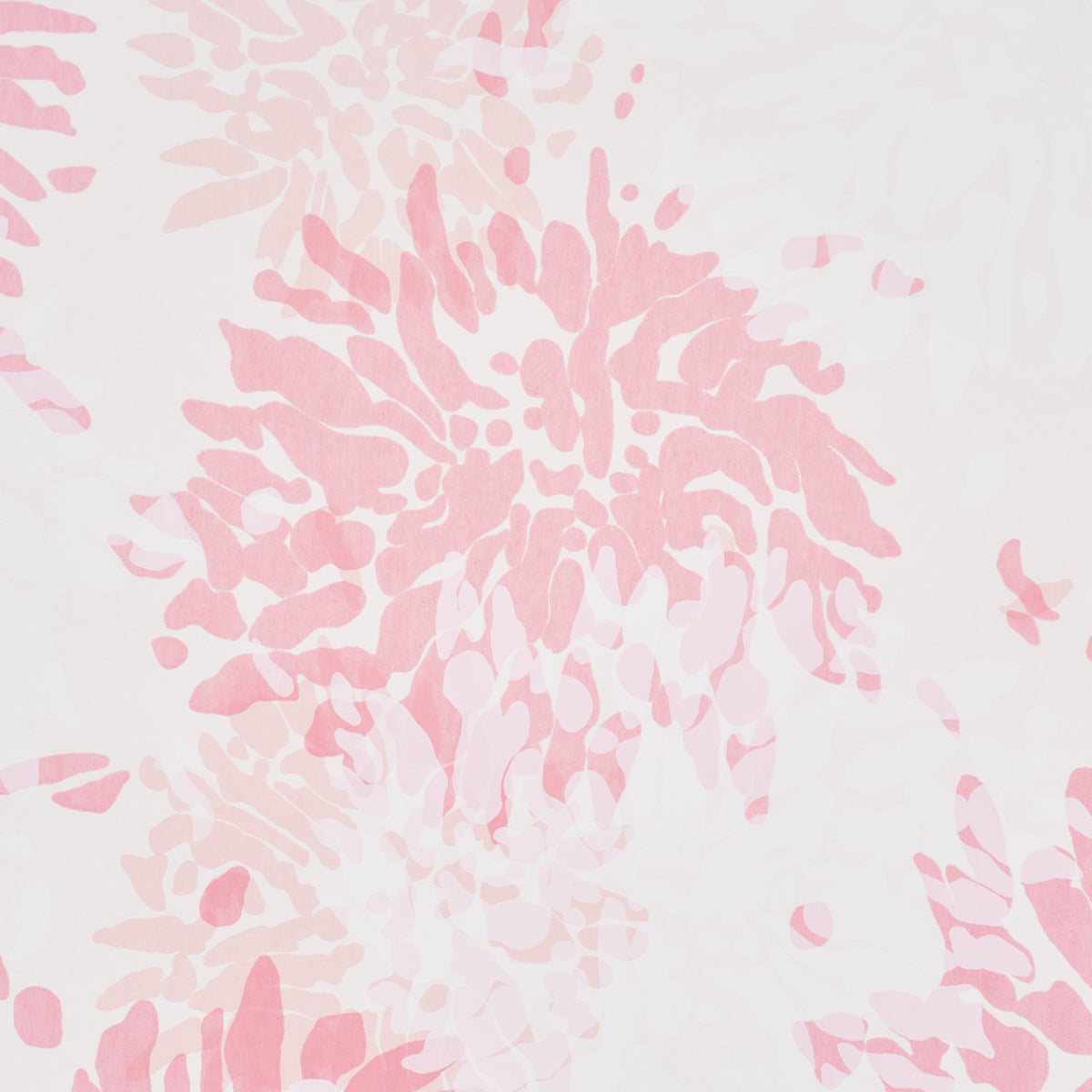 CHRYSANTHEMUM-BY-TILLETT-PINKY-SCHUMACHER-TL800002 - Schumacher Wallpaper