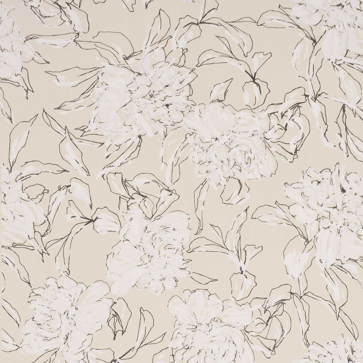 PEONY-SILHOUETTE-GRAPHITE-SCHUMACHER-TL800011