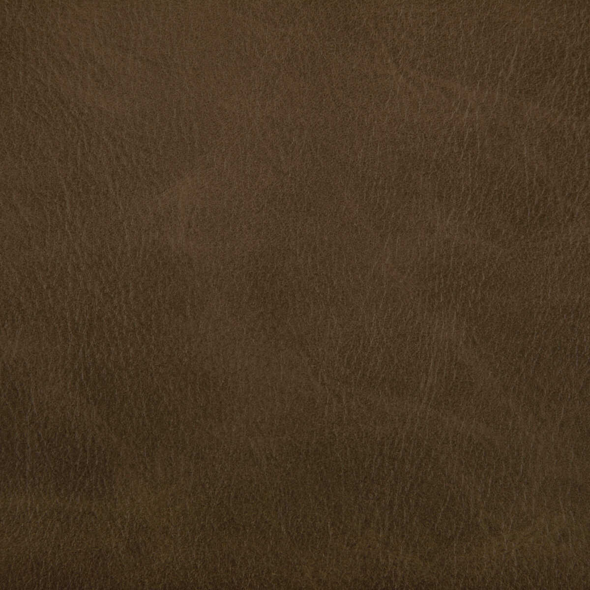 Toni - Etruscan - KRAVET CONTRACT Fabric