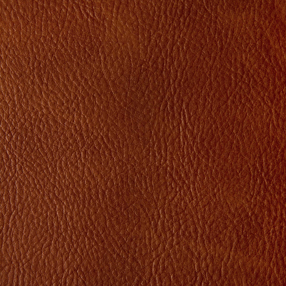 Toni - Mesa