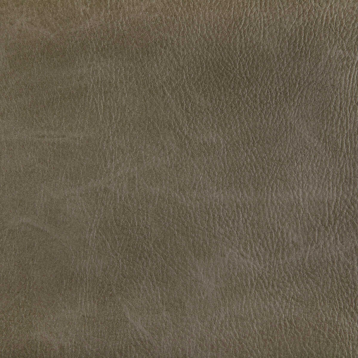 Toni - Field - KRAVET CONTRACT Fabric