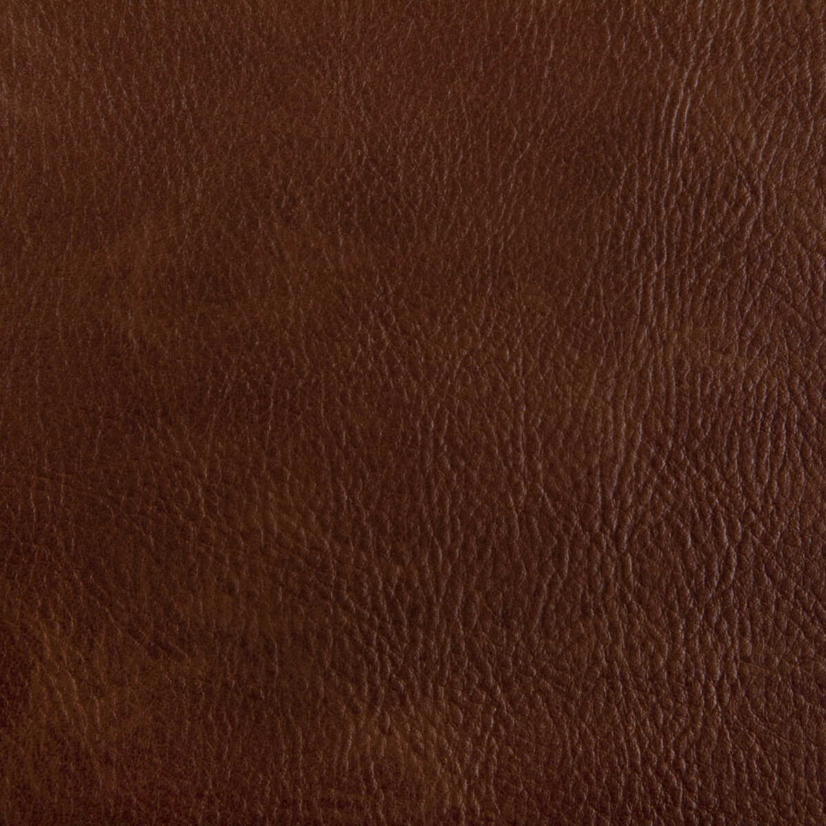 Toni - Cognac - KRAVET CONTRACT Fabric