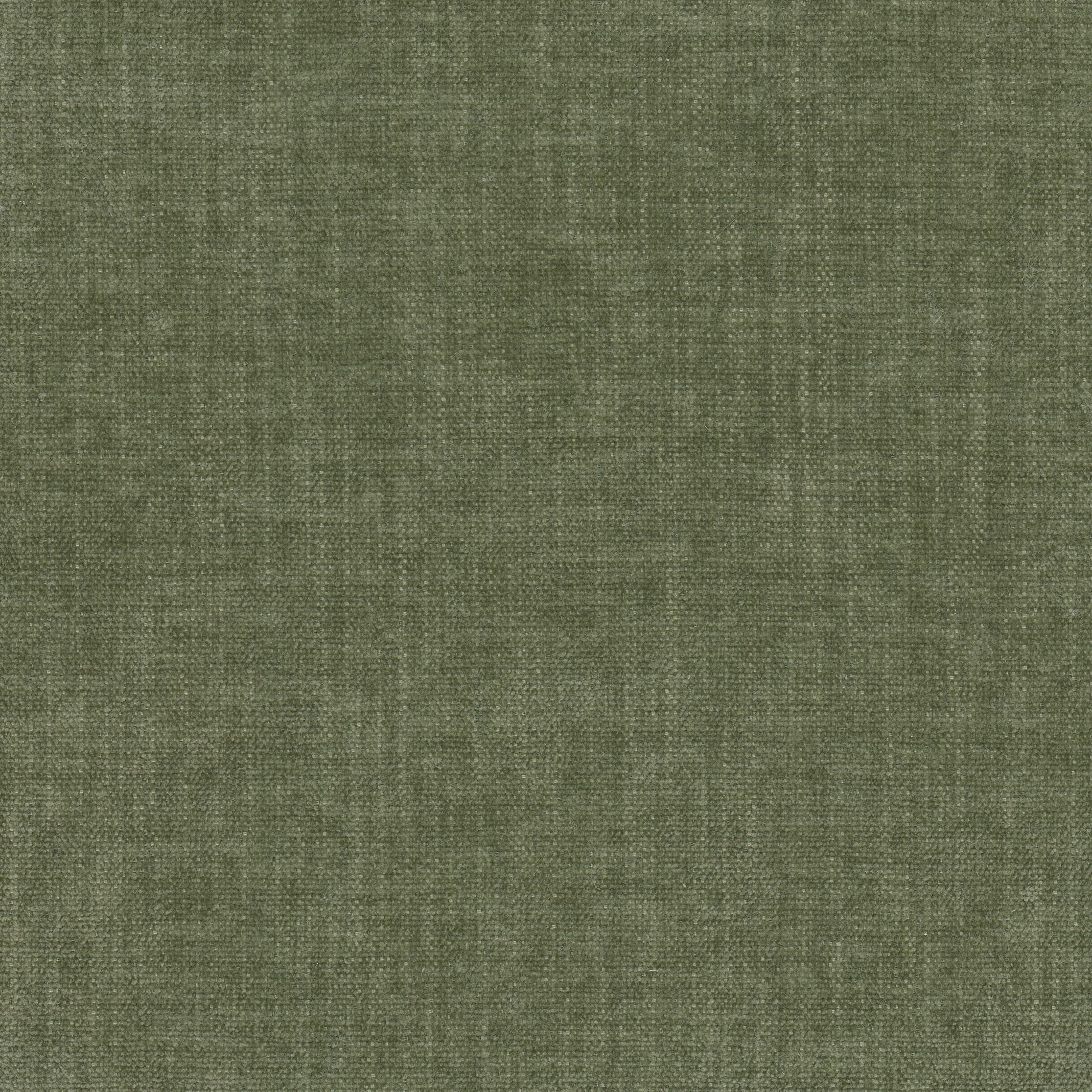 Trevor 1 Fern by Stout Fabric