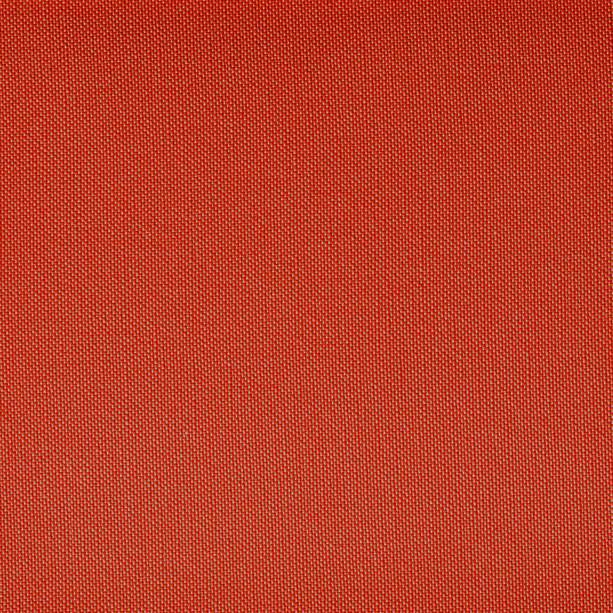 Ventura - Persimmon