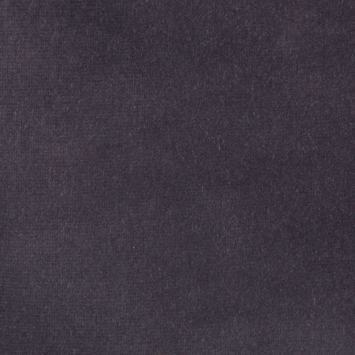 Kravet Design - Versailles-E204000