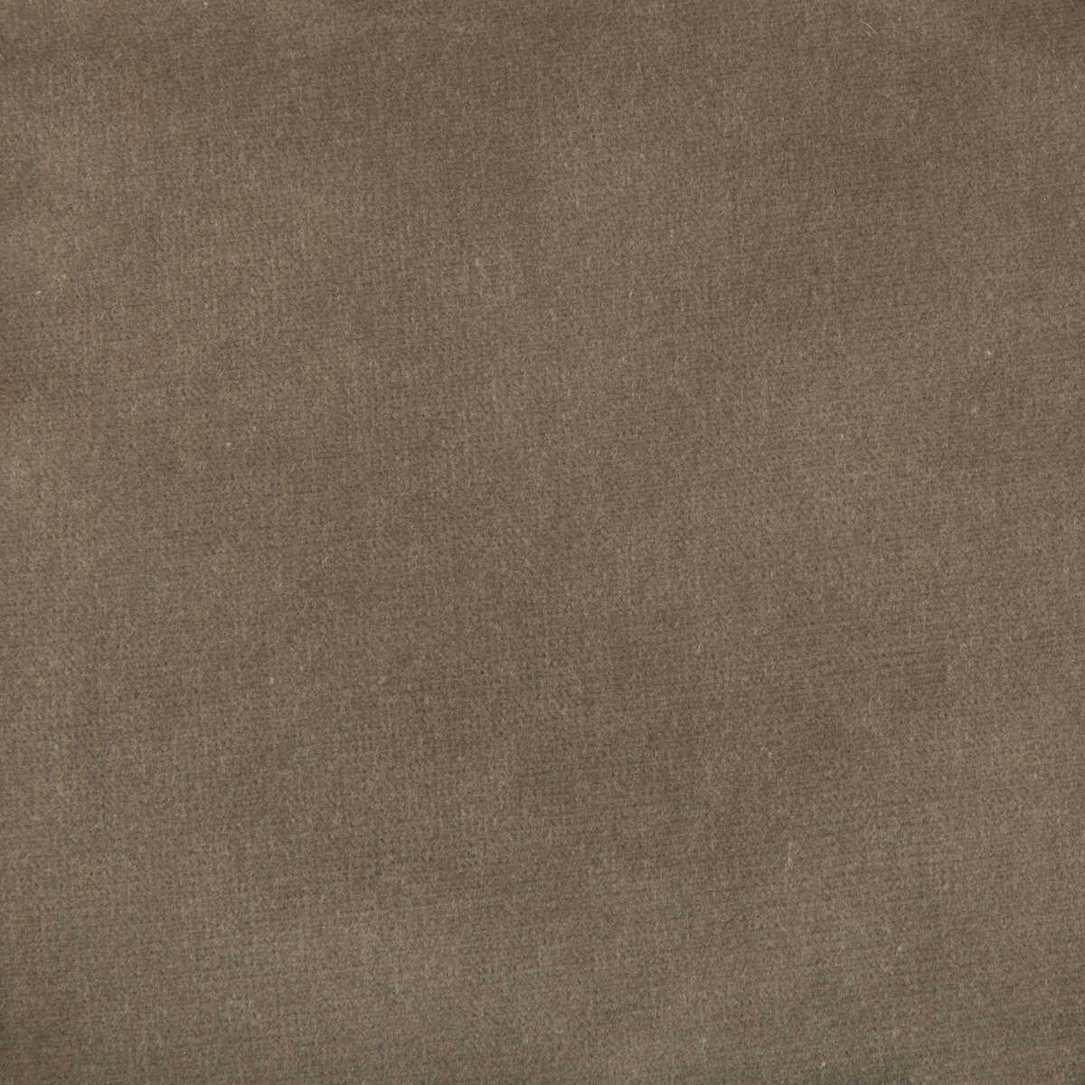 Kravet Design - Versailles-E205140