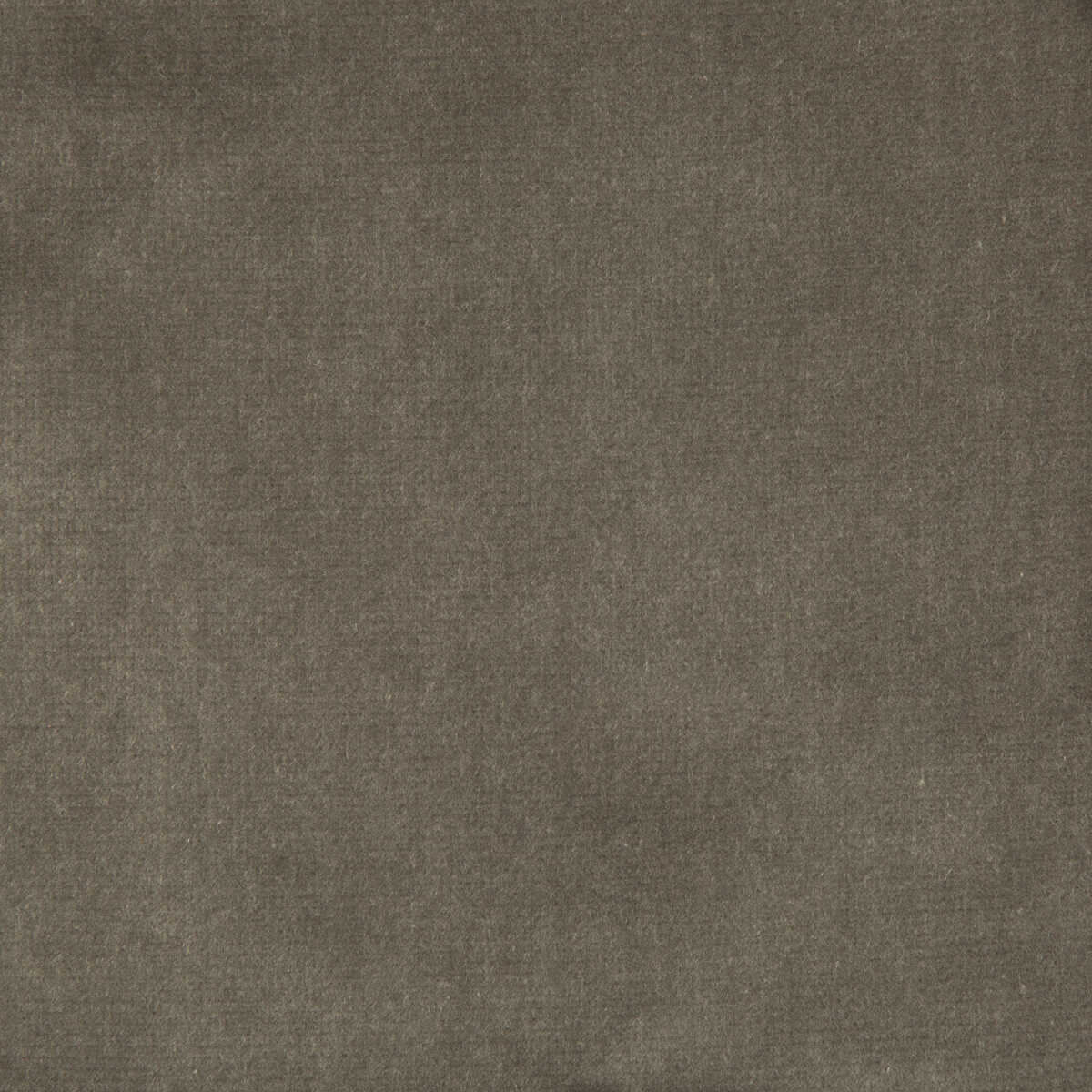 Kravet Design - Versailles-E205180