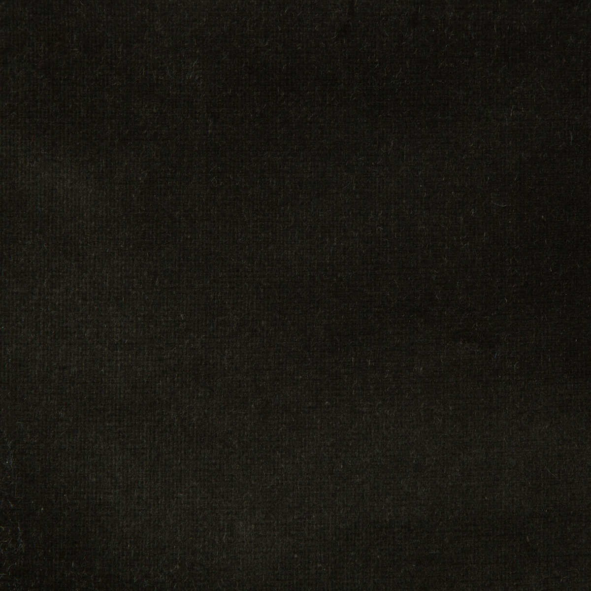 Kravet Design - Versailles-E20701 - KRAVET DESIGN Fabric