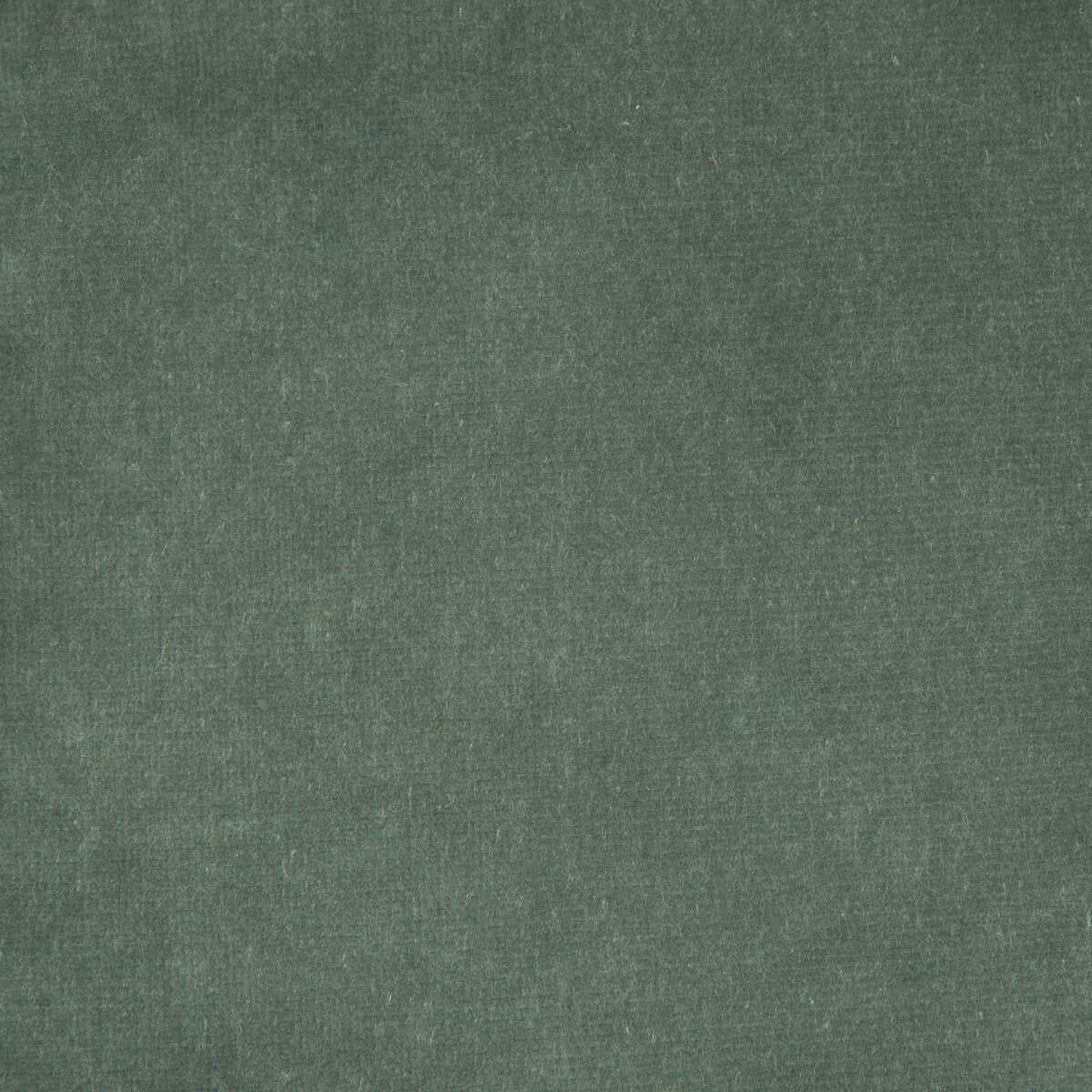 Kravet Design - Versailles-E209020