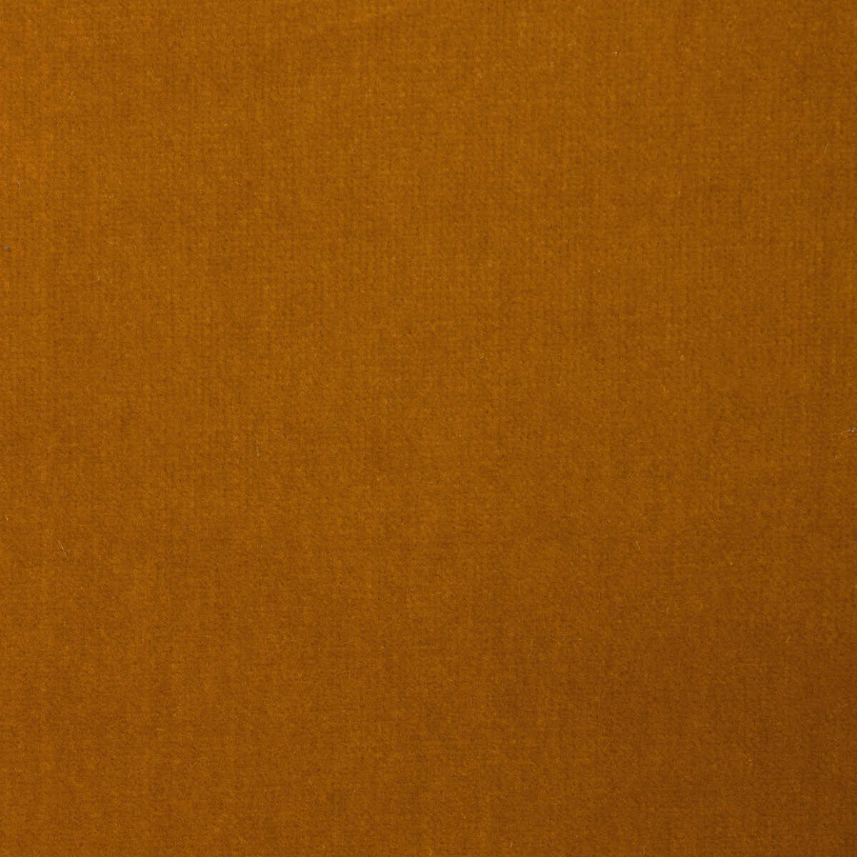 Kravet Design - Versailles-E21485 - KRAVET DESIGN Tela